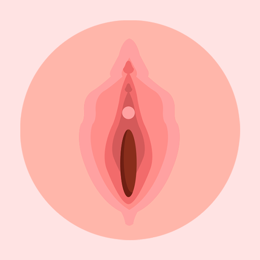 Anatomía de la Vagina