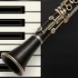 Professional Clarinet