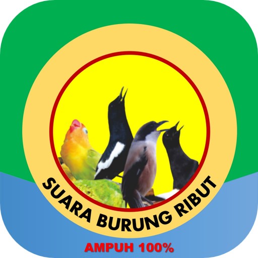 Suara Pikat Burung Kecil Ribut