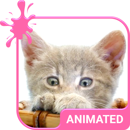 Pretty Kitty Wallpaper