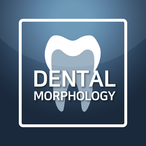 DENTAL MORPHOLOGY for Student