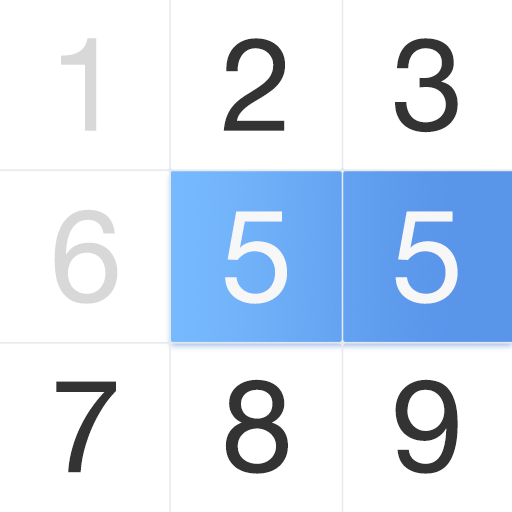 Number Puzzle - Ten & Pair