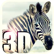 Zebra Simulator 3D Wildlife