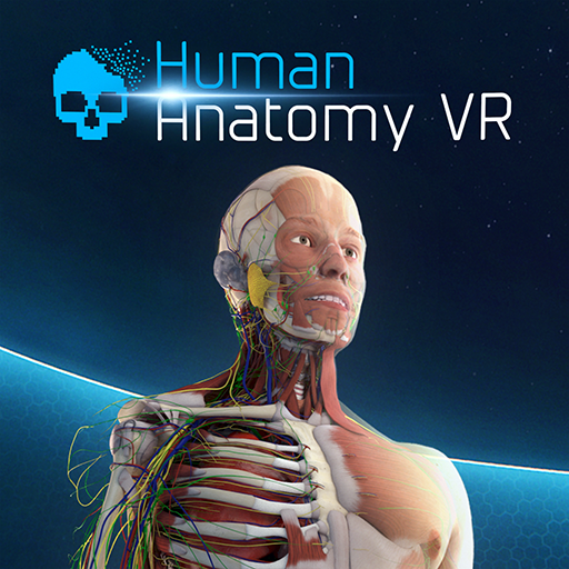 Human Anatomy VR