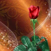 玫瑰動態桌布 – 美麗背景圖片