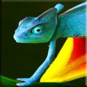 Chameleon Lock Screen