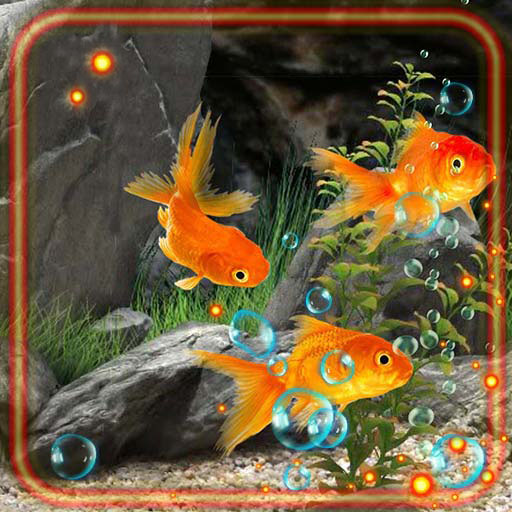 Gold Fishes HD Live Wallpaper