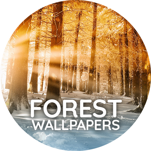 Wallpapers with Forest in 4K