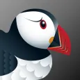 Puffin Gizli Tarayıcı