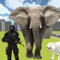 Elephant City Attack Simulator