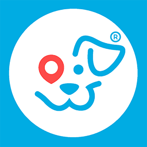 Pawgo Mobile Grooming and More Right To your Door