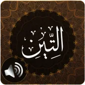 Surah Tin Audio