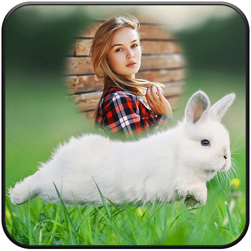 Rabbit Photo Frames