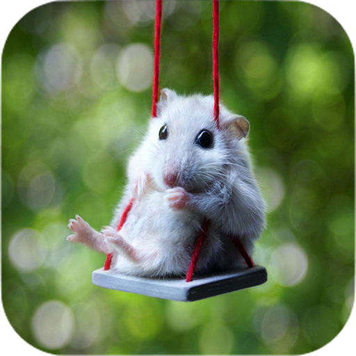 Hamster Wallpapers