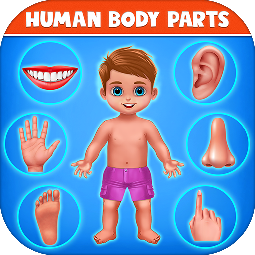 Human Body Parts - Kids Games