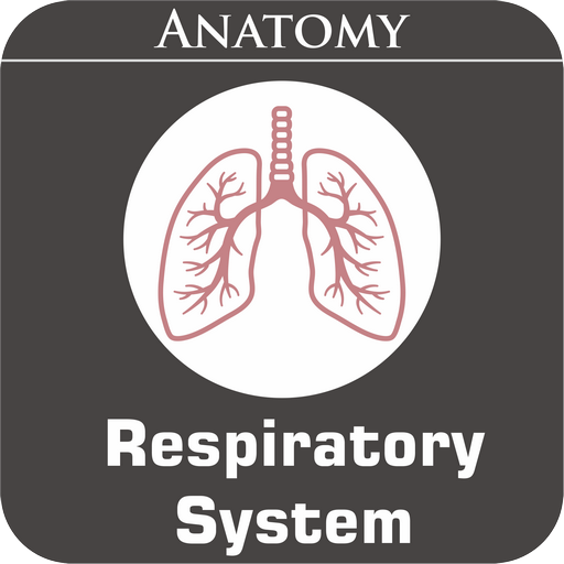 Respiratory System