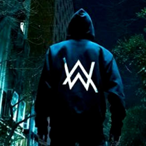 Alan Walker + lirik offline