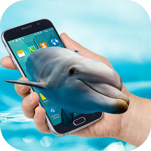 Dolphin on Screen Dolphin Show di Phone Joke