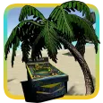 Beach Pinball VR