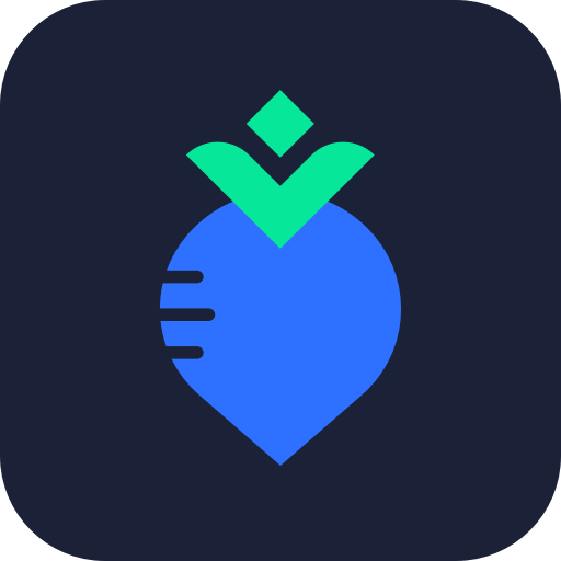 Radish VPN—ВПН прокси