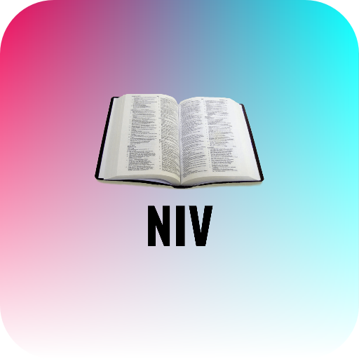 Holy Bible NIV