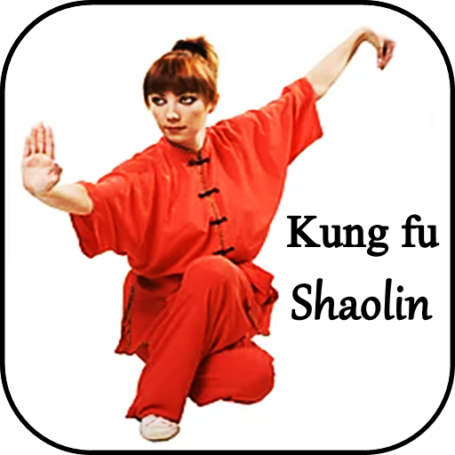 Learn kung fu