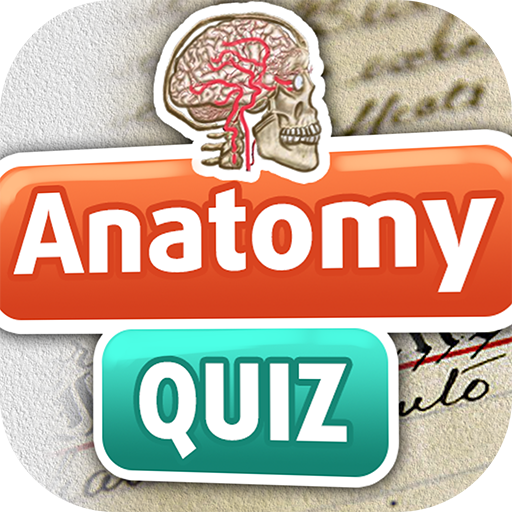 Anatomy Trivia Quiz