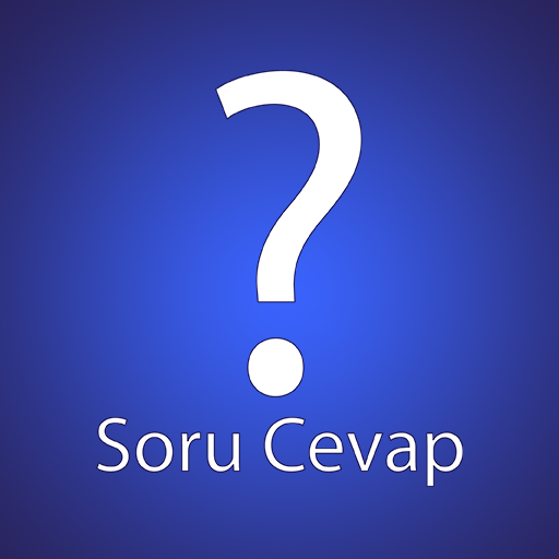 Soru Cevap