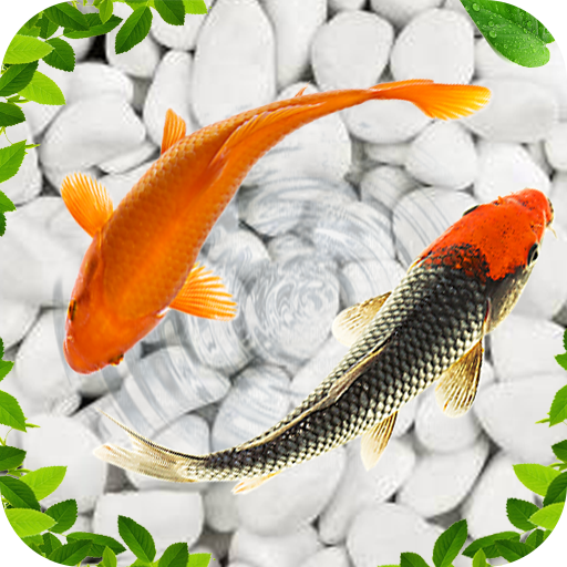 Koi Fish Live Wallpapers