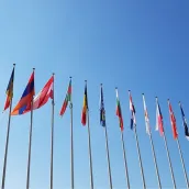 Goo translator all languages