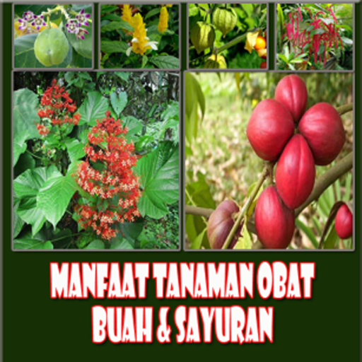 200+ Tanaman Obat,Sayuran,Buah