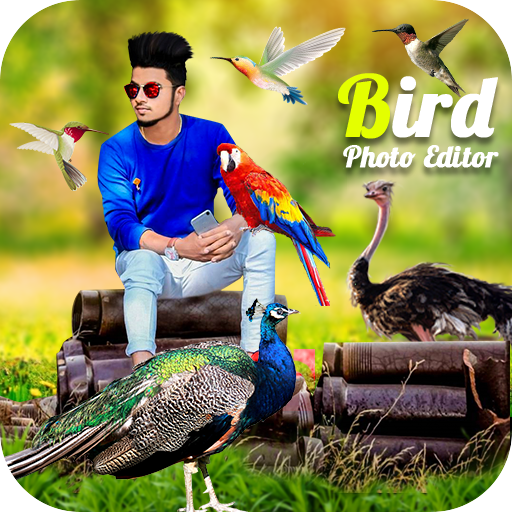 Bird Photo Editor