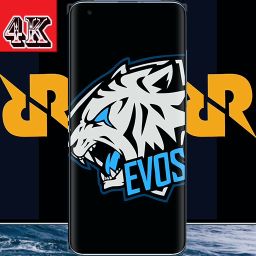 Wallpaper Collection Evos RRQ