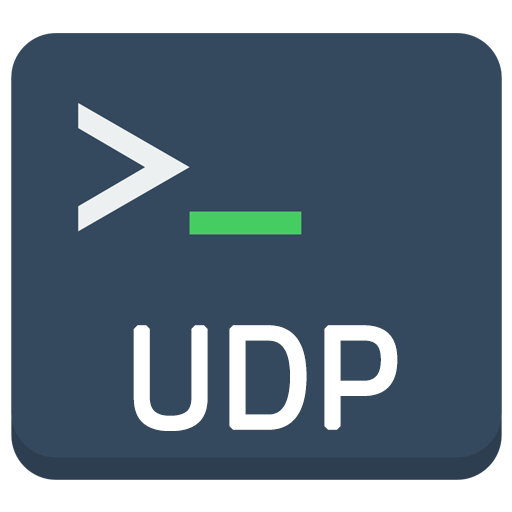UDP Terminal