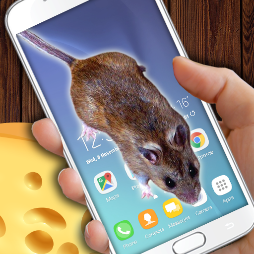 Fake Mouse on Screen: Animal in Phone