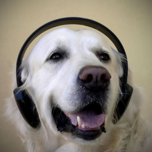 Dogs Love Sounds