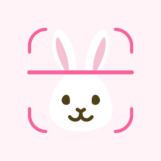 Animal Face AI Test