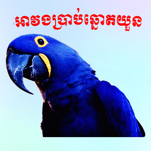 អាវងប្រាប់ឆ្នោតយួន