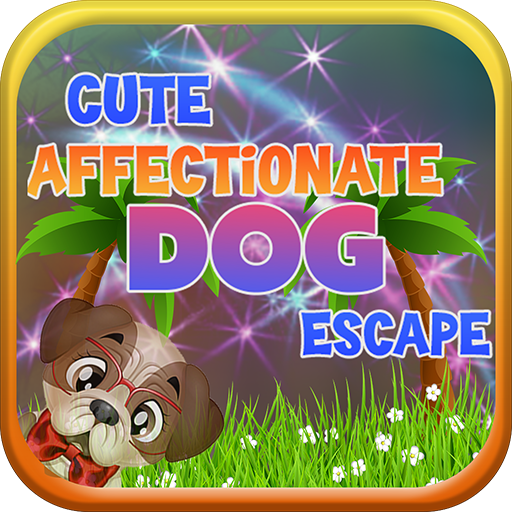 Cute Affectionate Dog Escape -