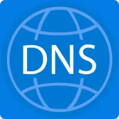 IntraNIC DNS