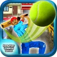 Cricket Street Cup Game