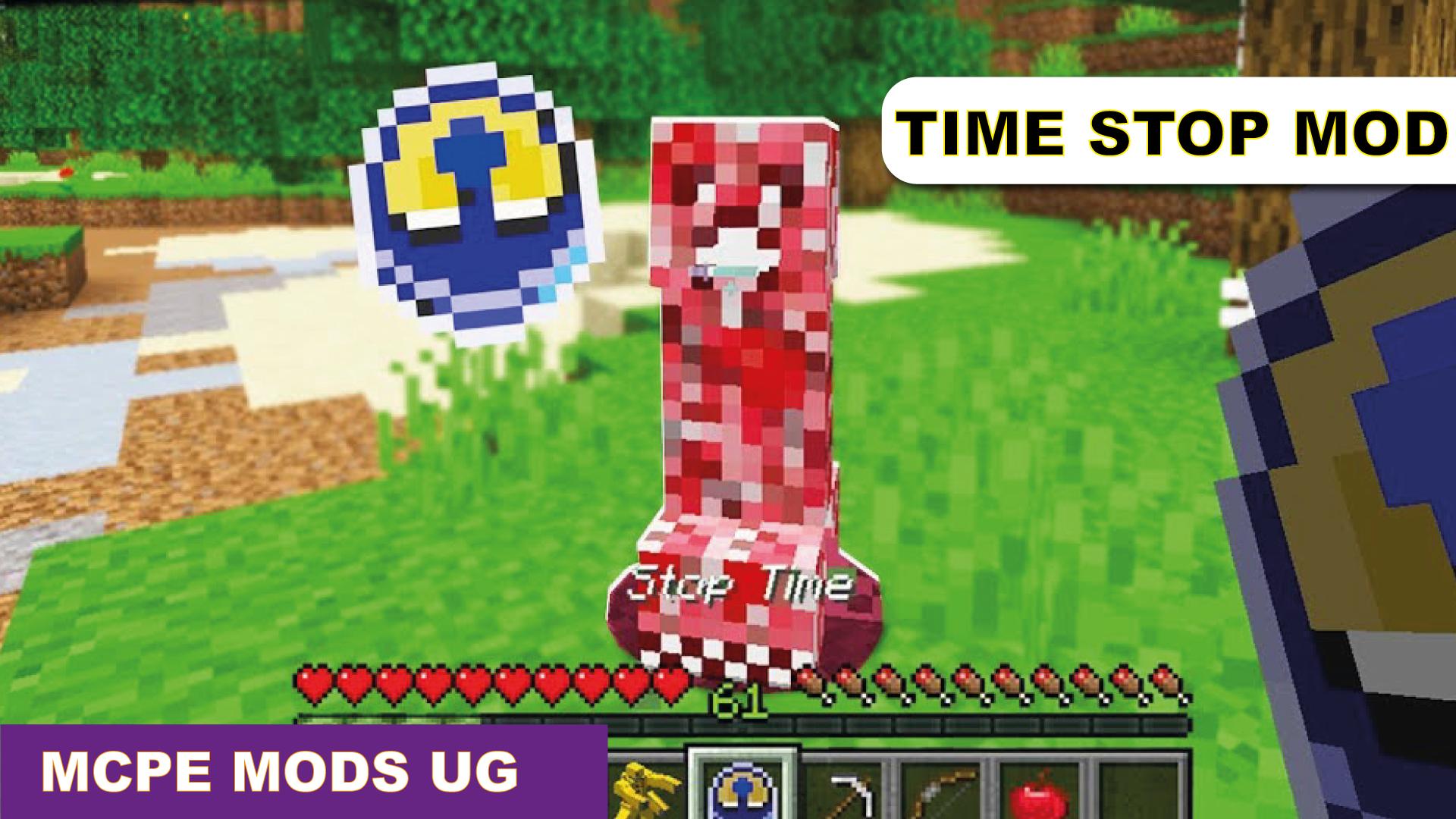 Mod Time Stop Addon for Minecraft