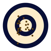 Orion Scoring System