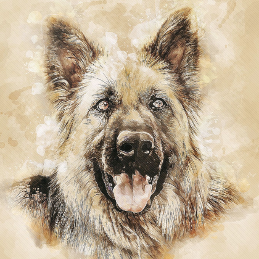 German shepherd dogs wallpaper