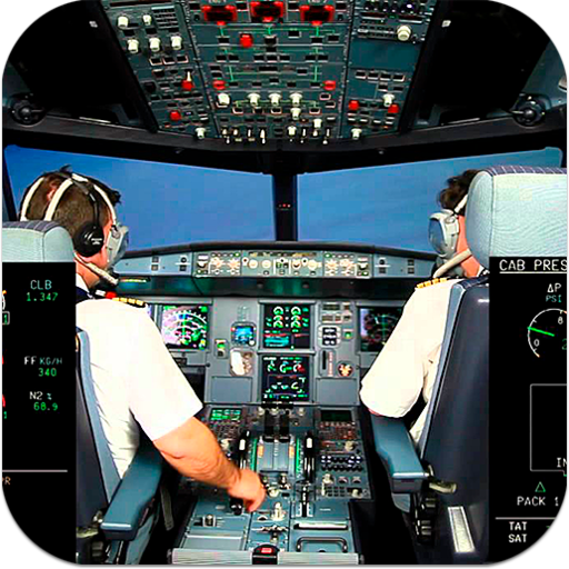 Flight Simulator Real World Pilot 3D