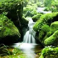 Beautiful River Wallpapers