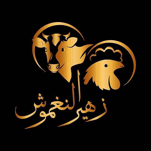 زهير النغموش