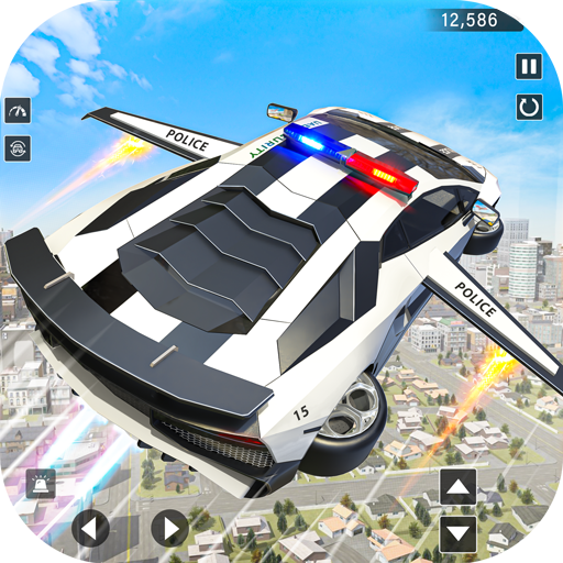 Real Police Flying Car Game 3D