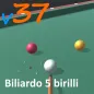 5 pins billiard