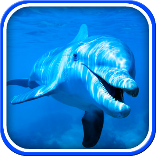 Dolphins Live Wallpaper - Free download and software reviews - CNET Download